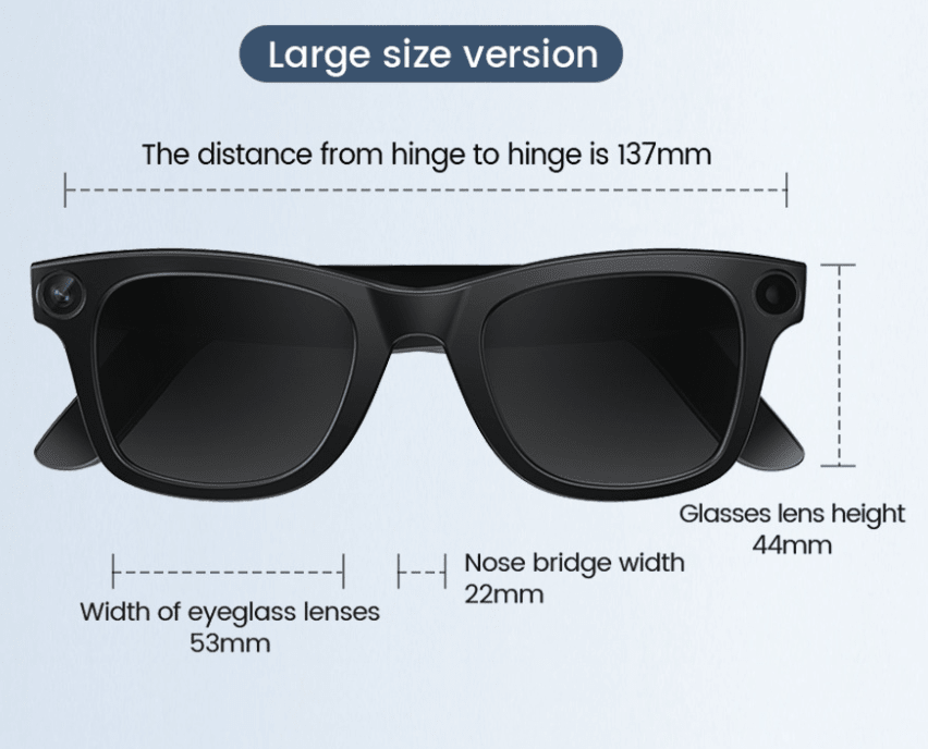 AI Camera Smart Glasses - The Coin Has A Say