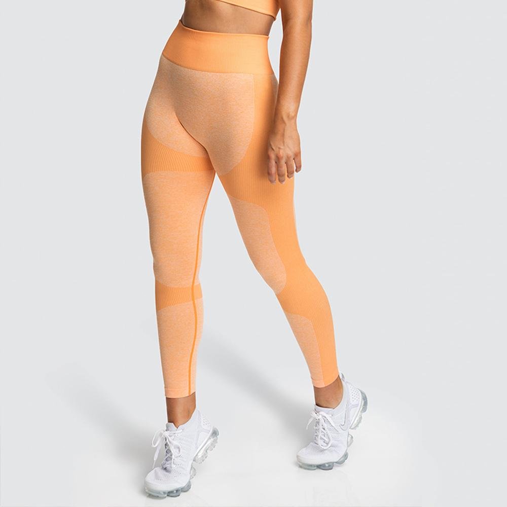 High Waist Athletic Seamless Yoga Leggings And Stretch Sports Bra - The Coin Has A Say
