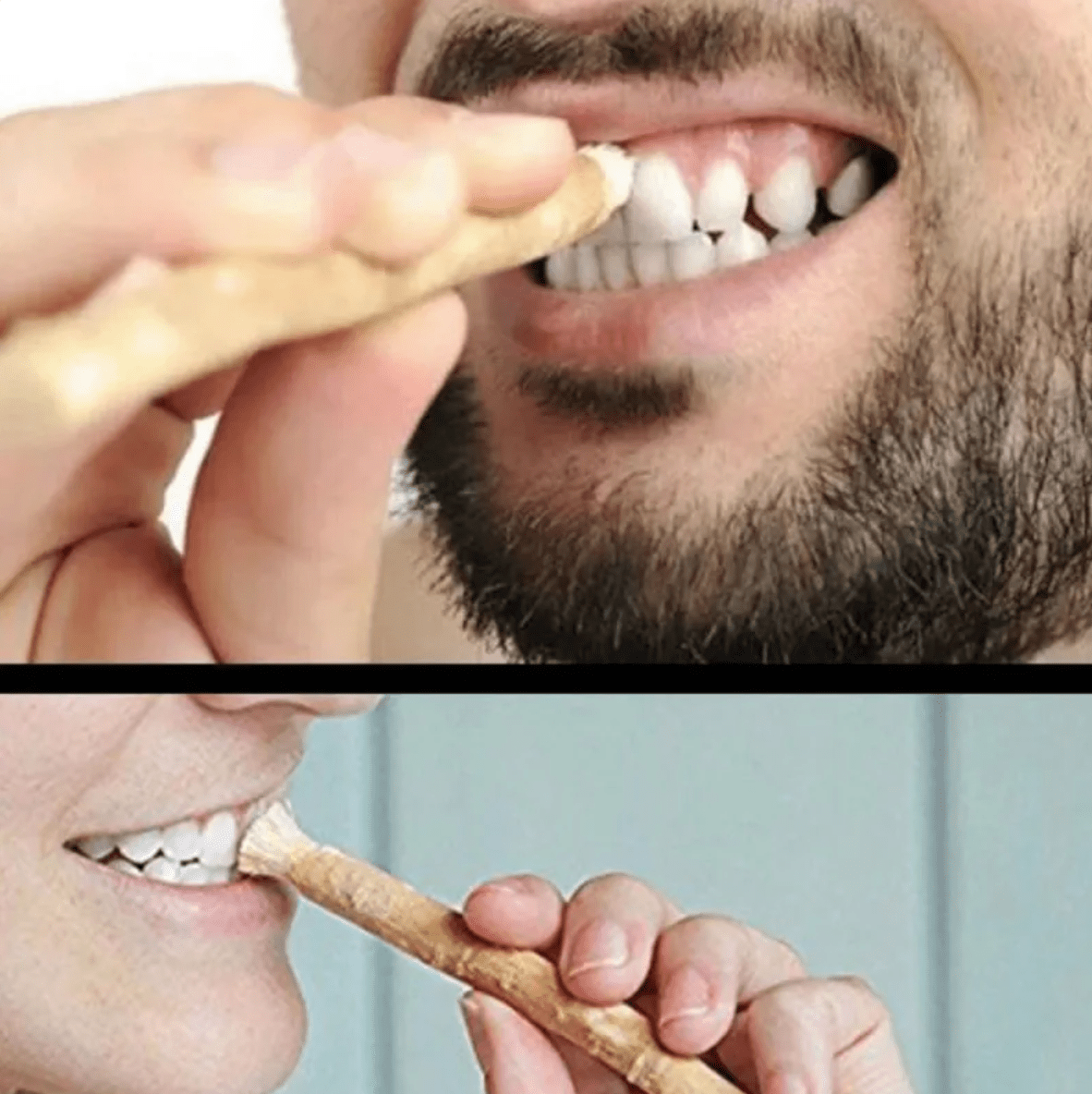 Miswak Tooth Cleaning Stick - The Coin Has A Say