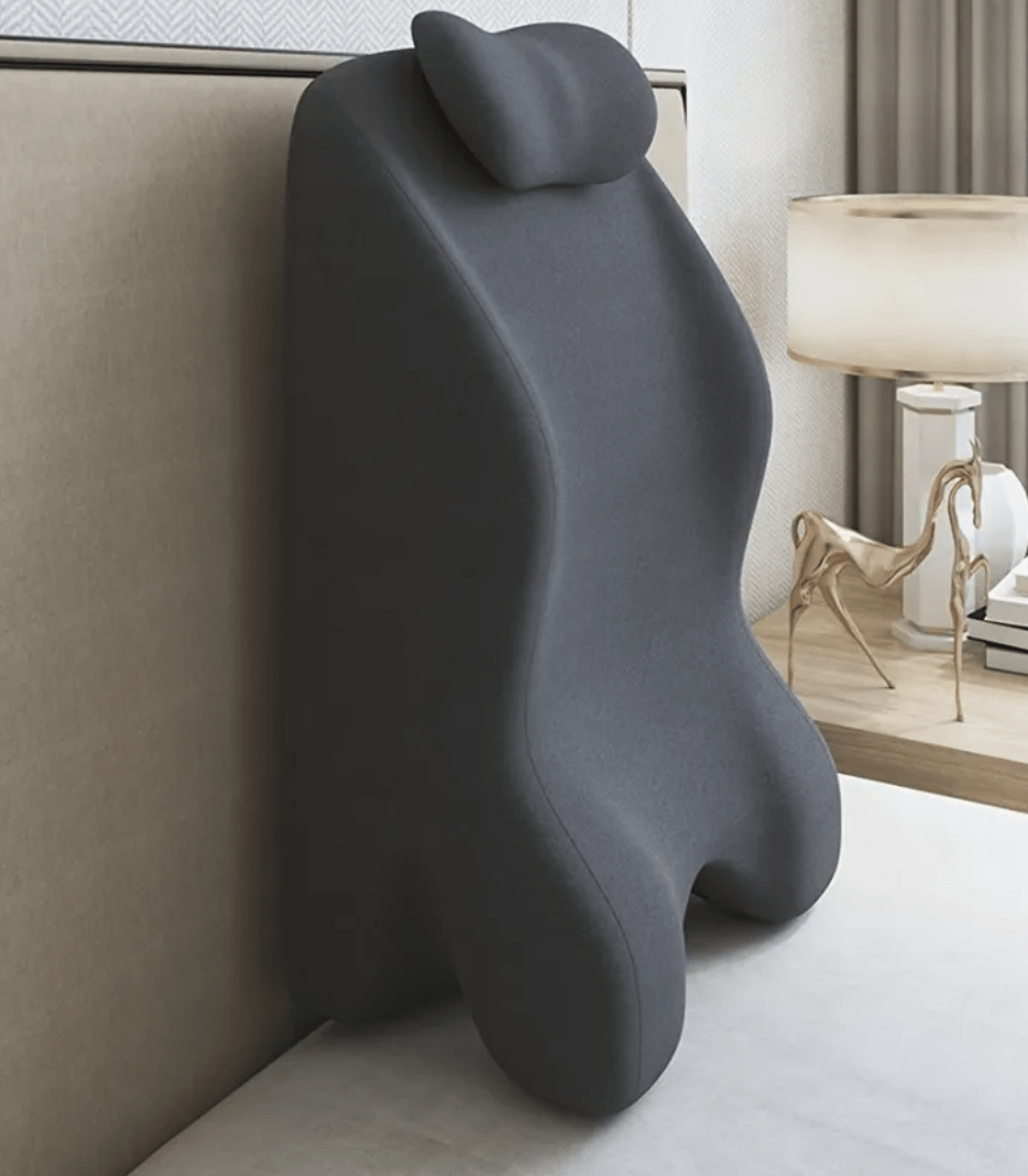Stomach Sleeper Pillow - The Coin Has A Say